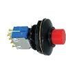 P4-323221 Pushbutton Switches