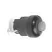 P7-211111 Pushbutton Switches