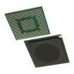P1011NXE2HFB  Semiconductors