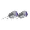 100SXE15M  Passive Components