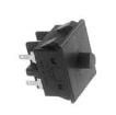 AGX306F Basic / Snap Action Switches