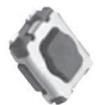 EVP-AA602W-HOL Tactile Switches