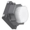EVQ-P1D05M-YAN Tactile Switches