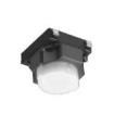 EVQ-P1F05M  Electromechanical