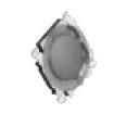 EVQ-PQMB55 Tactile Switches