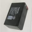 UP-VW1245P1 Sealed Lead Acid Battery