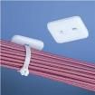 AM2-C  Wire & Cable