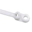 BC2S-S10-C Cable Ties