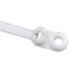 BC2M-S4-M Cable Ties