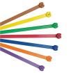 BT2S-M20 Cable Ties