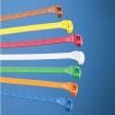 CBR2M-M1 Cable Ties
