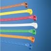 CBR3I-M3 Cable Ties
