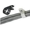 CCH44-S10-C0  Wire & Cable
