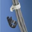 CCS38-S8-C0 Cable Mounting & Accessories