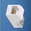 CJ88WHY Modular Connectors / Ethernet Connectors