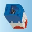 CJ5E88TGBU-24 Modular Connectors / Ethernet Connectors