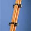 CSH-D20 Cable Tie Mounts