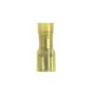 DNF10-250FIB-D  Connectors