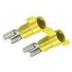 DV10-250C-2K  Connectors