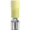 DV10-250-C  Connectors