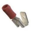DV18-250P-L Terminals