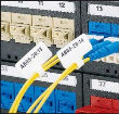 F100X363AJT electronic component of Panduit