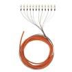 F66D2-NM1Y  Wire & Cable