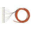 F66D2-NM1Y Fibre Optic Cable Assemblies