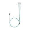 F92ELLNSNSNM011  Wire & Cable