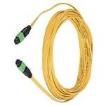 F9L12D5-5F20 Wire Ducting & Raceways