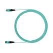 FX2ERLNSNSNM001 Fibre Optic Cable Assemblies