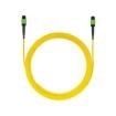 FX2ERLNSNSNM007  Wire & Cable