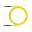 FX2ERLNSNSNM007 Fibre Optic Cable Assemblies