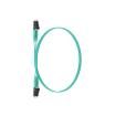 FX2ERLNSNSNM013 Fibre Optic Cable Assemblies