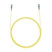 FX2ERLNSNSNM026  Wire & Cable