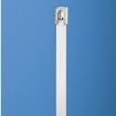 MLT8H-LP Cable Ties