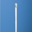 MLT10S-CP Cable Ties