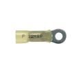 PH10-10R-E Terminals