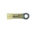 PH10-8R-E Terminals