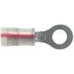 PK18-6R-E Terminals