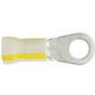PK4-38R-T Terminals