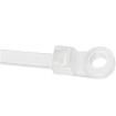 PLC2S-S10-C Cable Ties