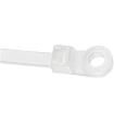 PLC2S-S10-M20 Cable Ties