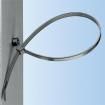 PLST4HS25-TL300 Cable Ties