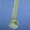 PLT2S-M109  Wire & Cable