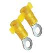 PN10-10R-2K Terminals