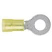 PN10-10R-E Terminals