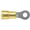 PN10-10RX Terminals