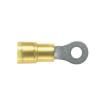 PN10-10RX-L Terminals