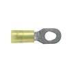 PN10-610R-D Terminals